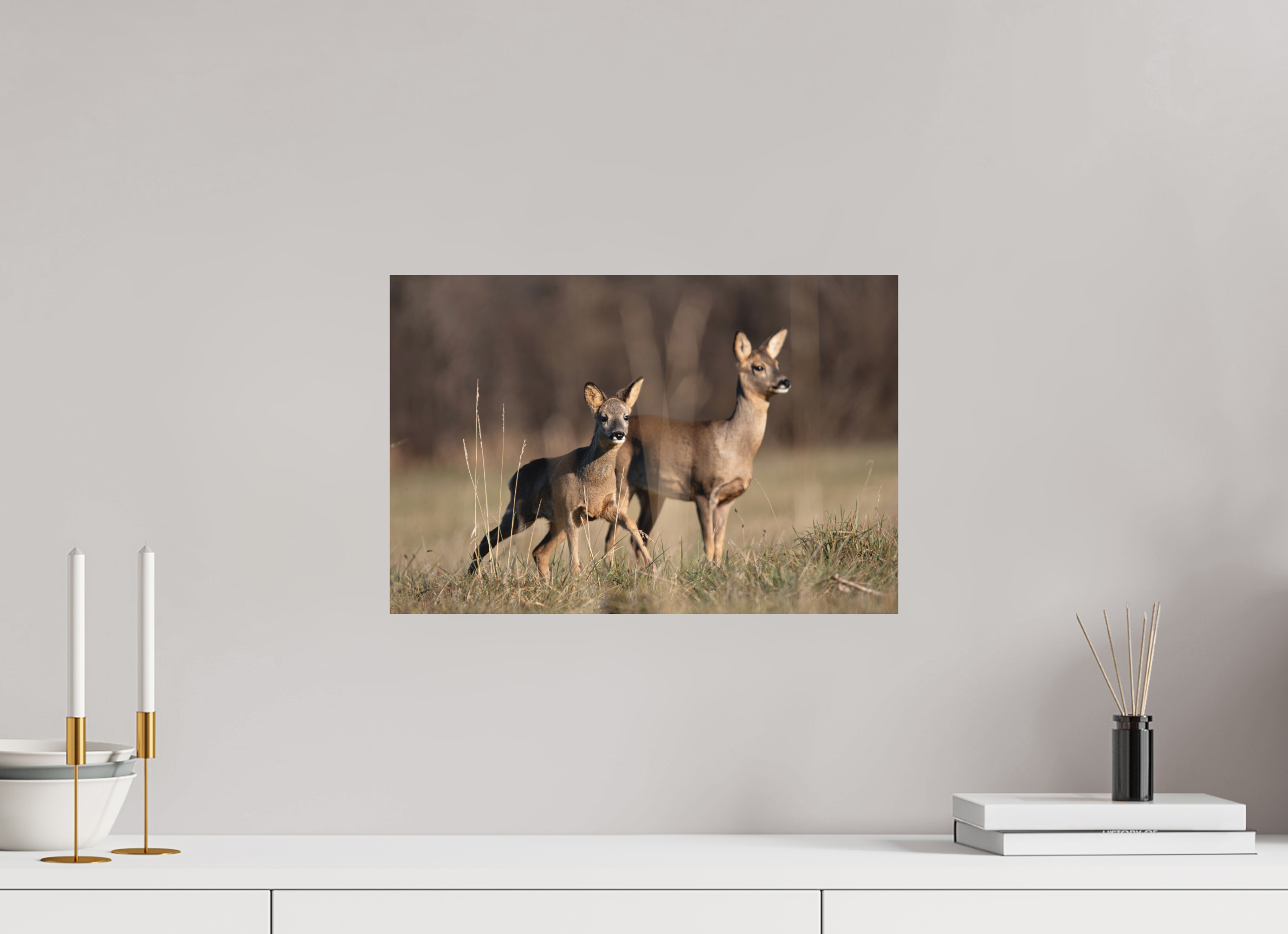 45 x 30 cm, Tirage anti reflets protégé - Sans bordures Bébé curieux