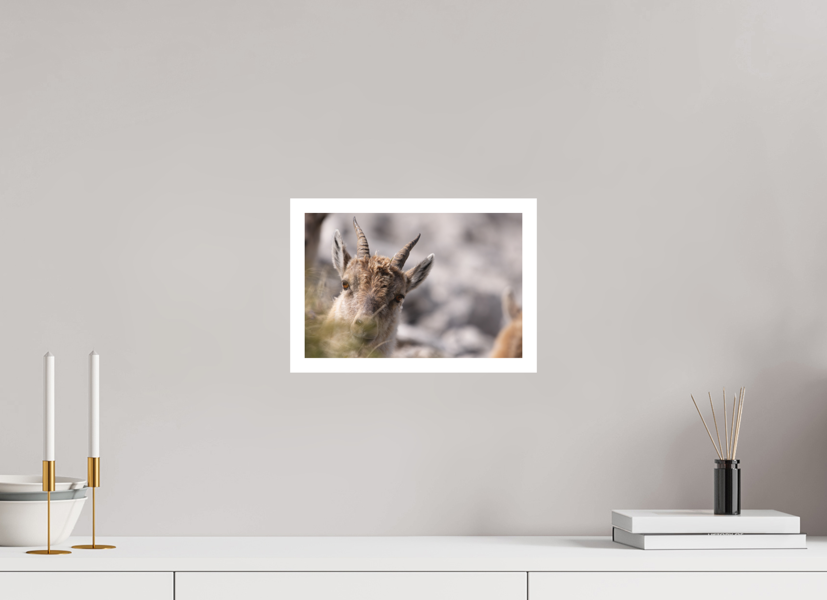 30 x 20 cm, Tirage anti reflets protégé - Bordures 2cm À travers l’herbe