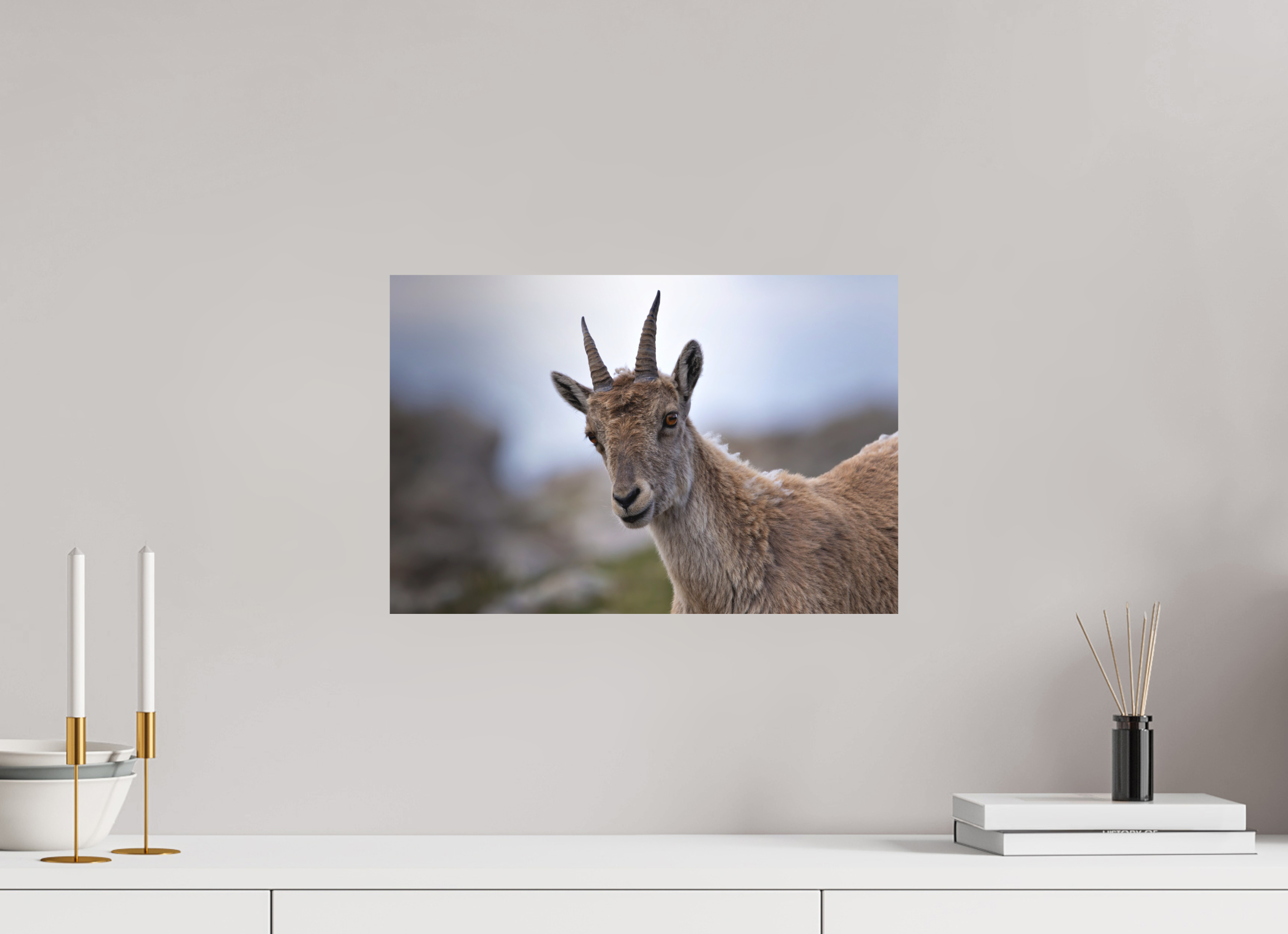 45 x 30 cm, Tirage anti reflets protégé - Sans bordures Regard des cimes