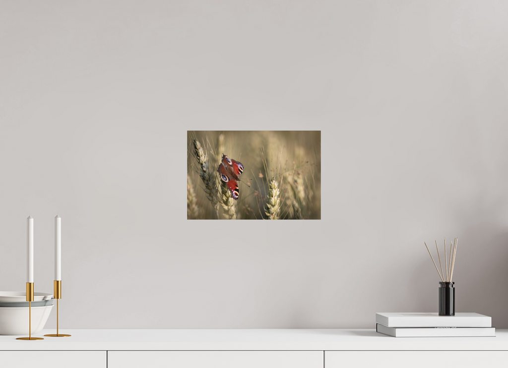 30 x 20 cm, Tirage anti reflets protégé - Sans bordures Rêve d’été