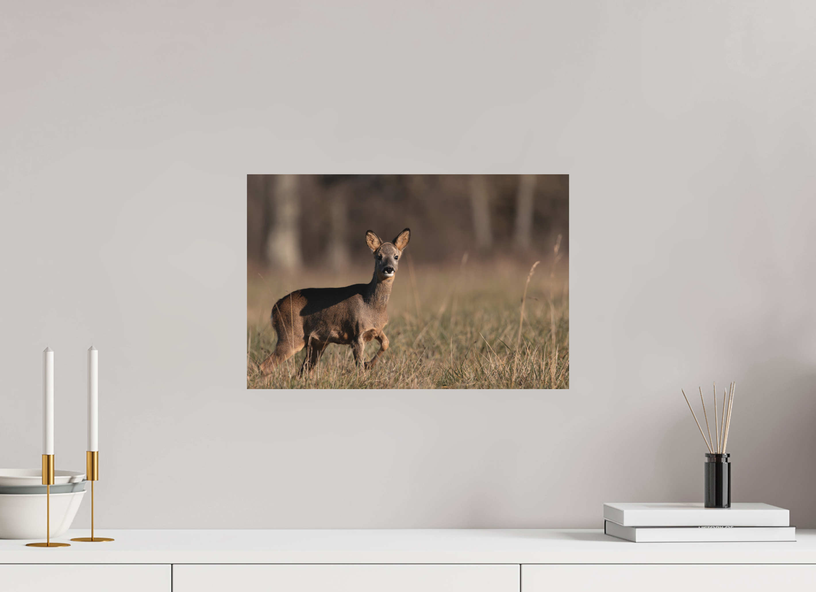 45 x 30 cm, Tirage anti reflets protégé - Sans bordures Explorateur en herbe