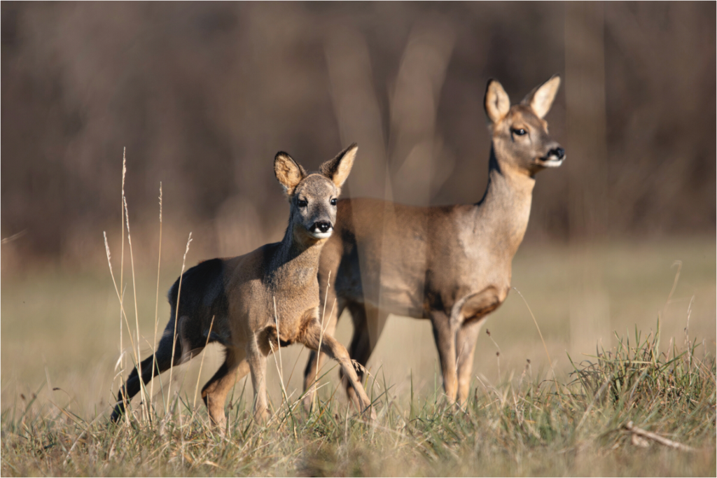 Main image Bébé curieux