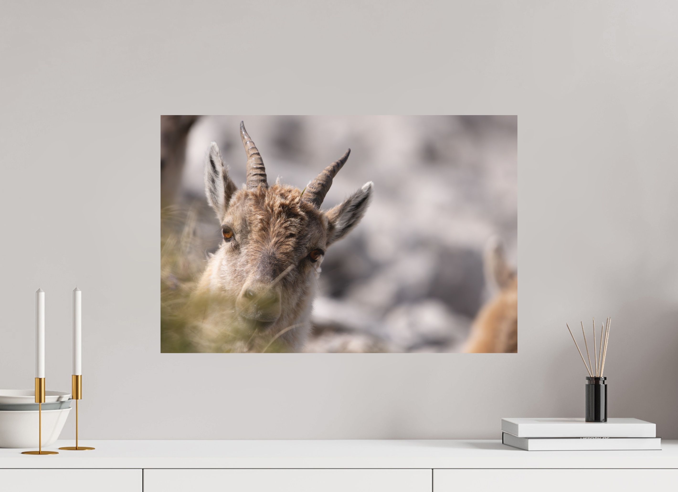 60 x 40 cm, Tirage anti reflets protégé - Sans bordures À travers l’herbe