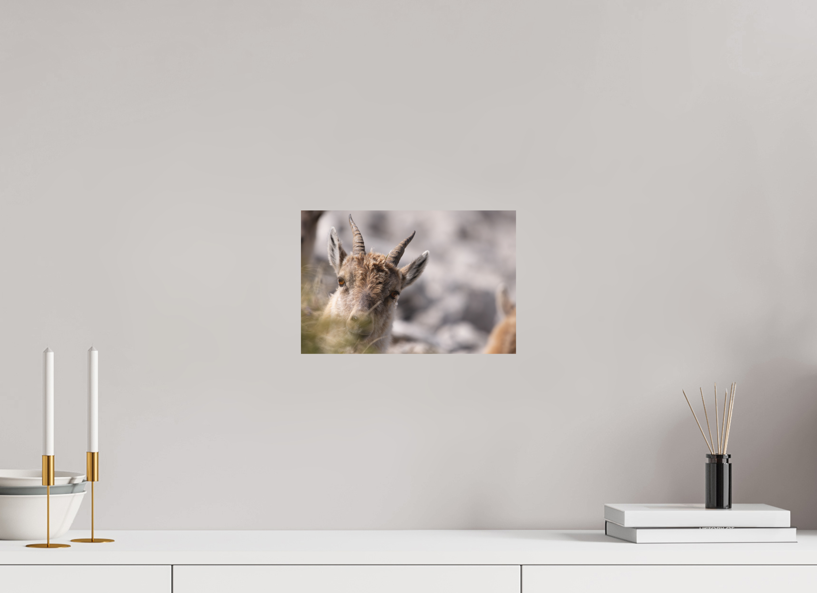 30 x 20 cm, Tirage anti reflets protégé - Sans bordures À travers l’herbe