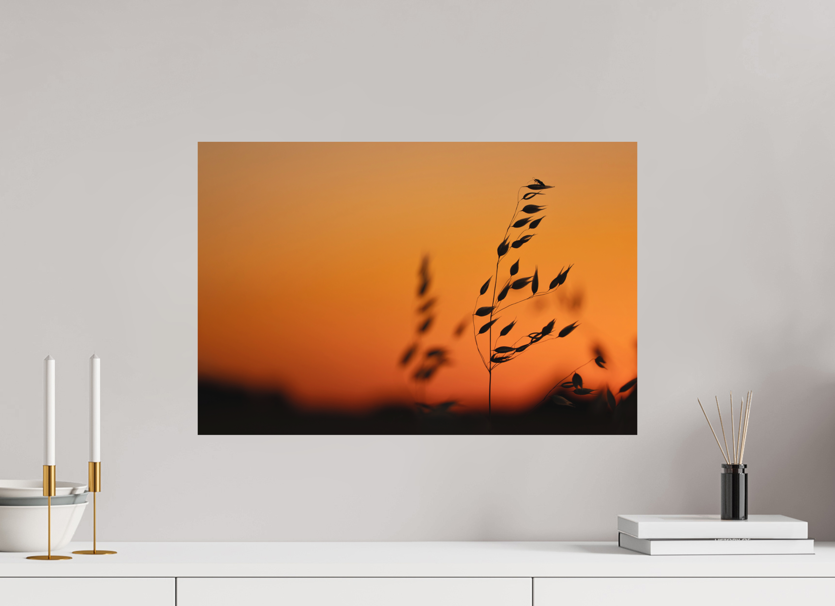 60 x 40 cm, Tirage anti reflets protégé - Sans bordures Au sommet de l’avoine