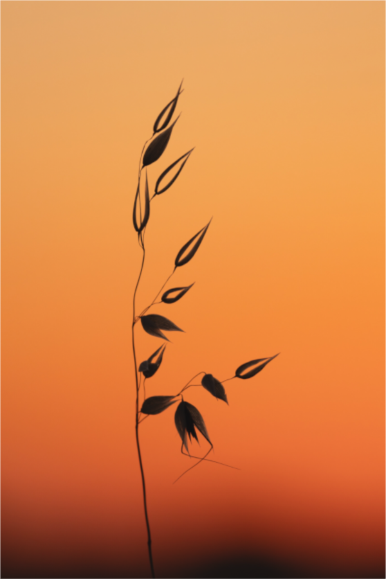 Main image Tableau du soir