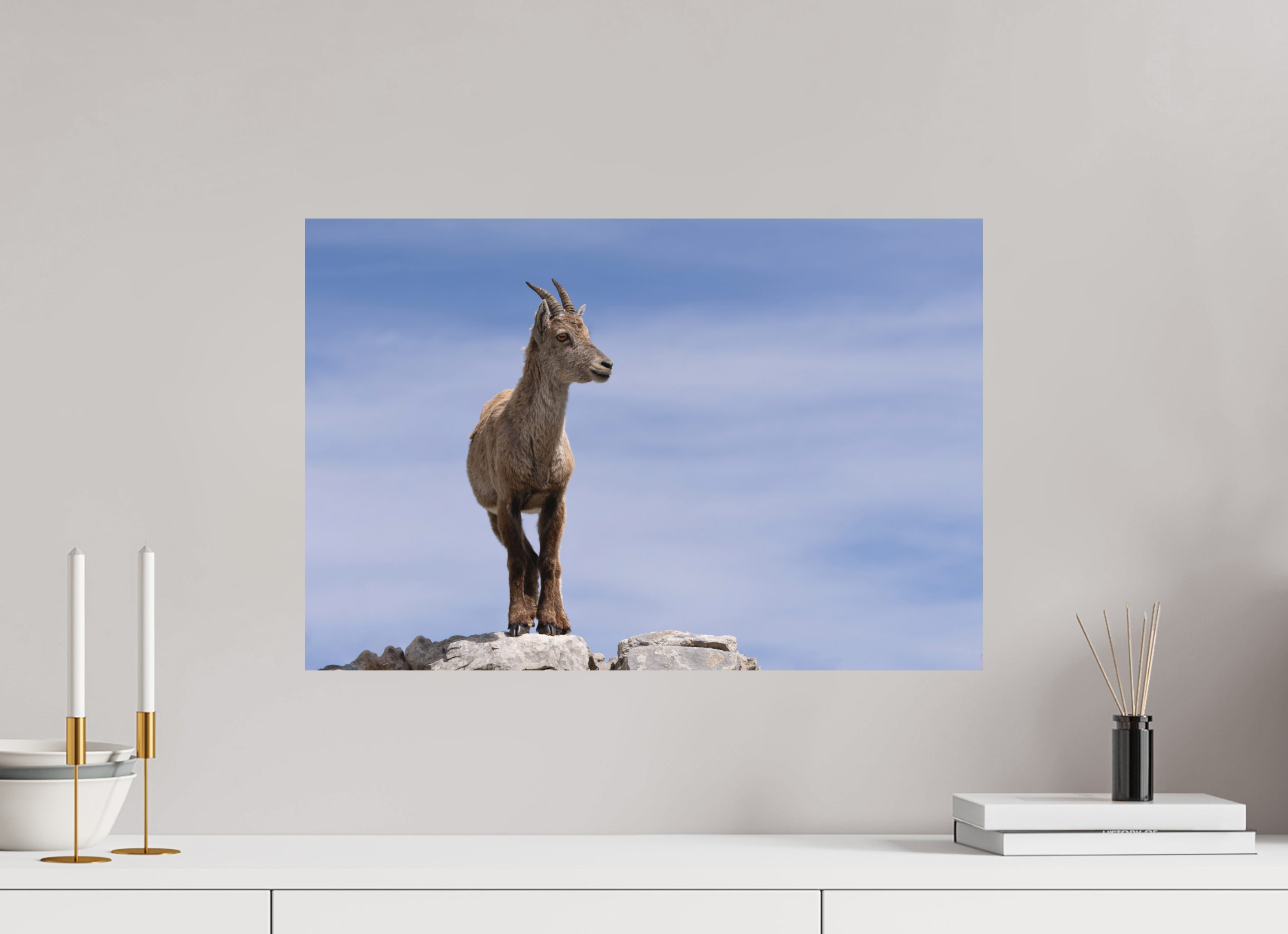 60 x 40 cm, Tirage anti reflets protégé - Sans bordures Petit explorateur