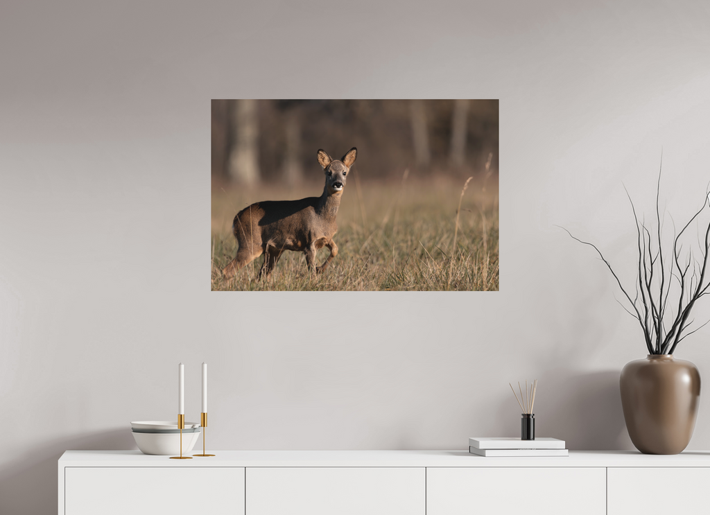 90 x 60 cm, Tirage anti reflets protégé - Sans bordures Explorateur en herbe