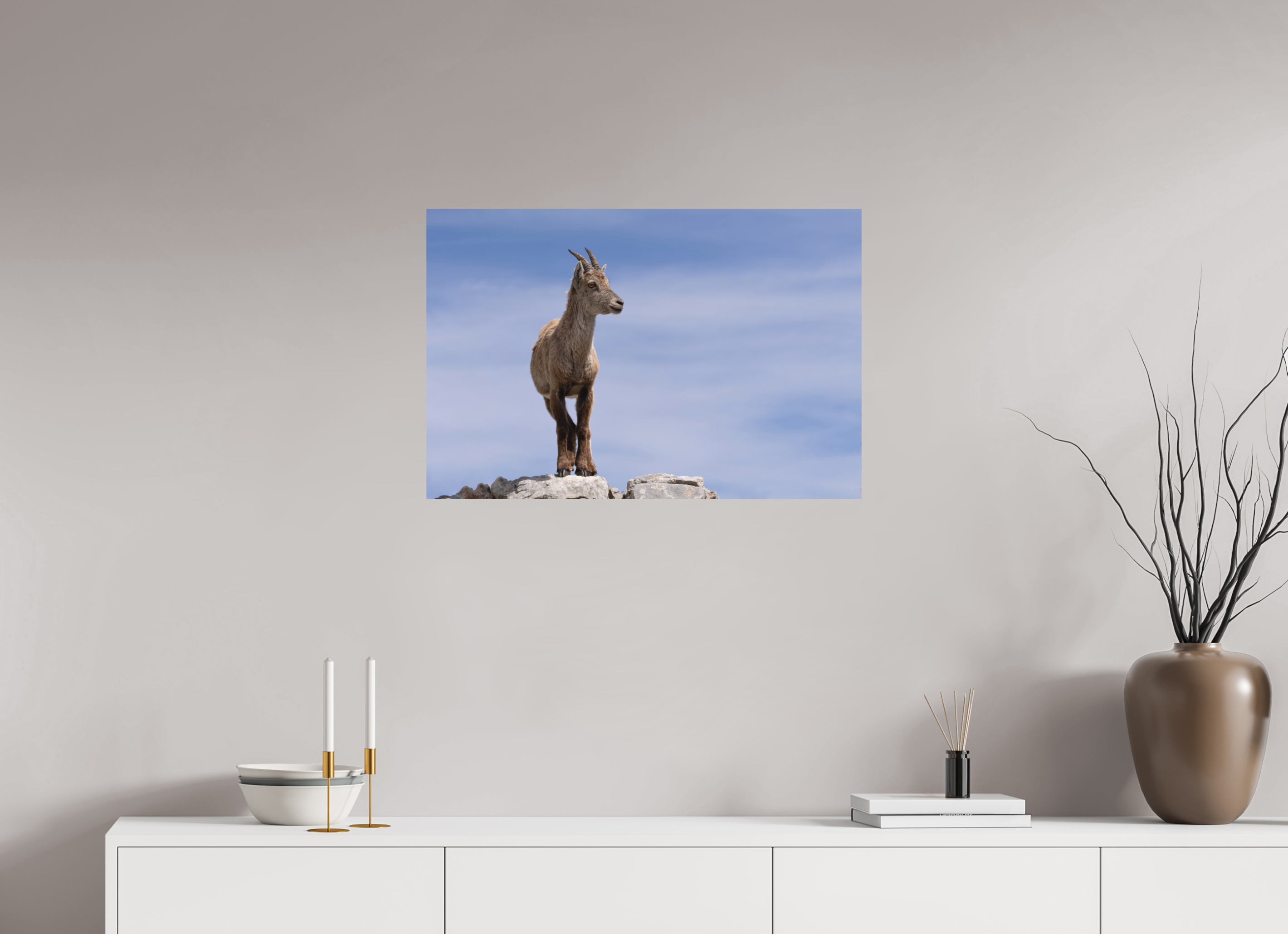 75 x 50 cm, Tirage anti reflets protégé - Sans bordures Petit explorateur