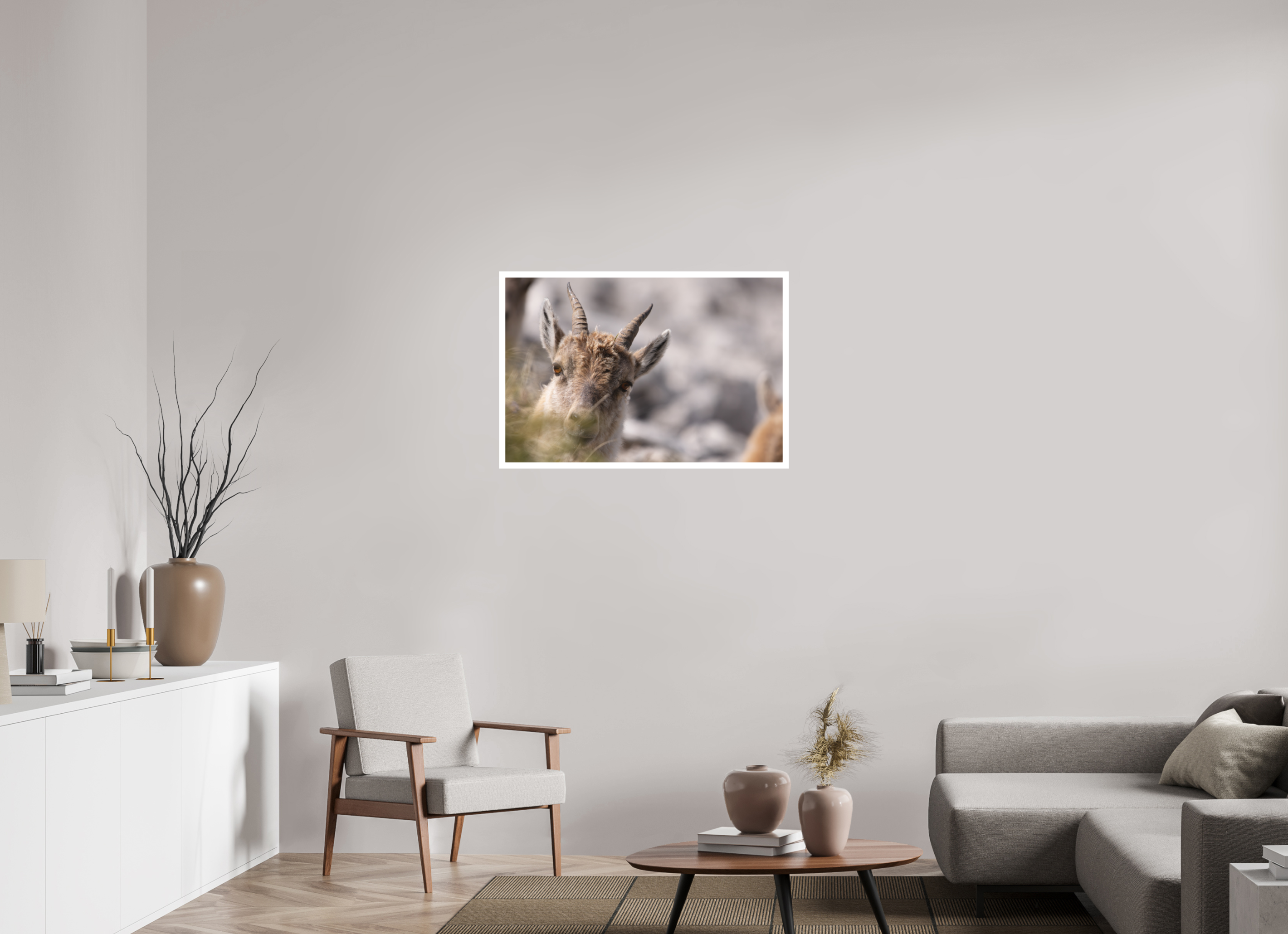 90 x 60 cm, Tirage anti reflets protégé - Bordures 2cm À travers l’herbe