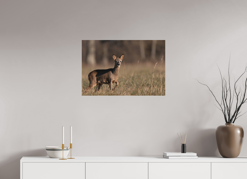 75 x 50 cm, Tirage anti reflets protégé - Sans bordures Explorateur en herbe