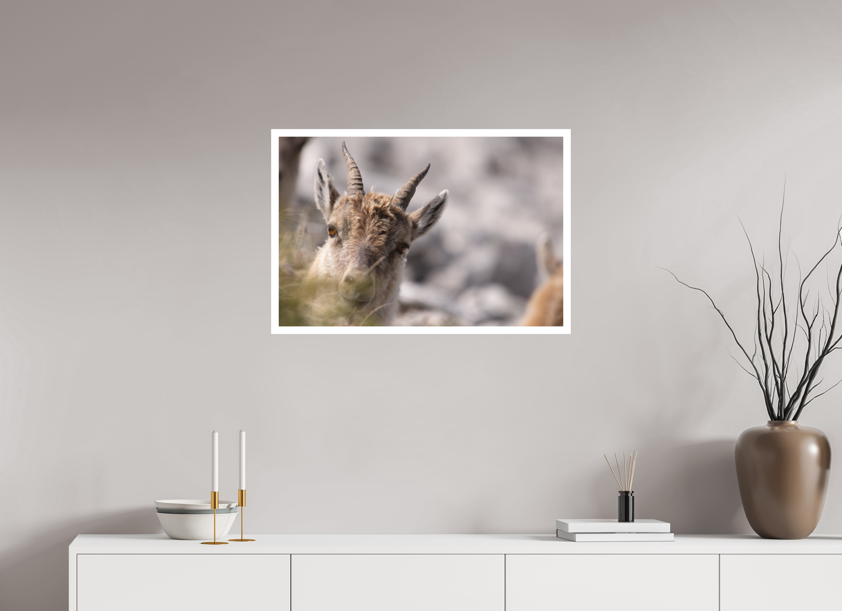 75 x 50 cm, Tirage anti reflets protégé - Bordures 2cm À travers l’herbe