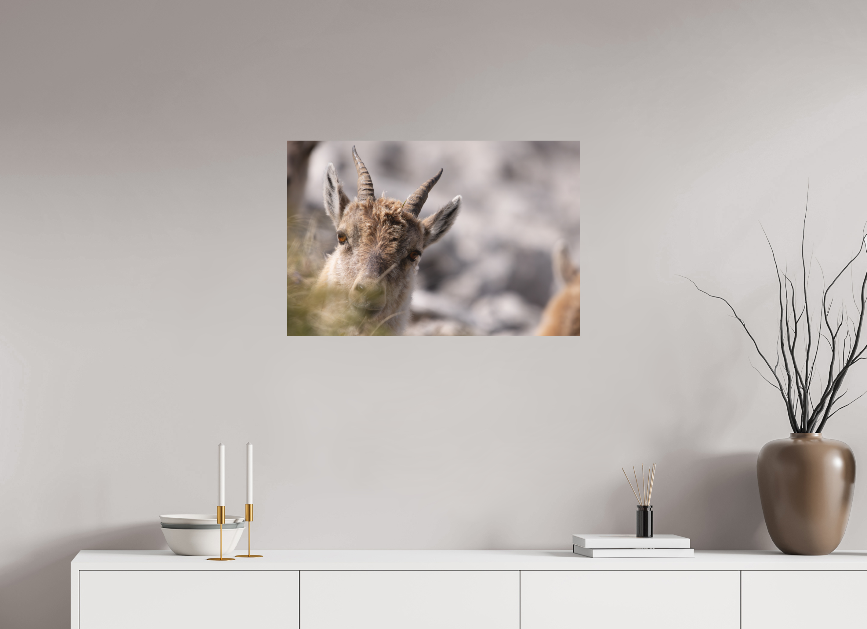 75 x 50 cm, Tirage anti reflets protégé - Sans bordures À travers l’herbe