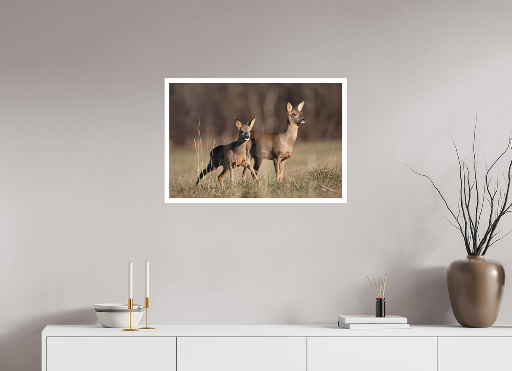 75 x 50 cm, Tirage anti reflets protégé - Bordures 2cm Bébé curieux