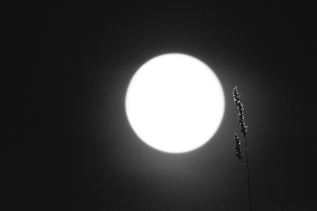 Main image Lueur nocturne