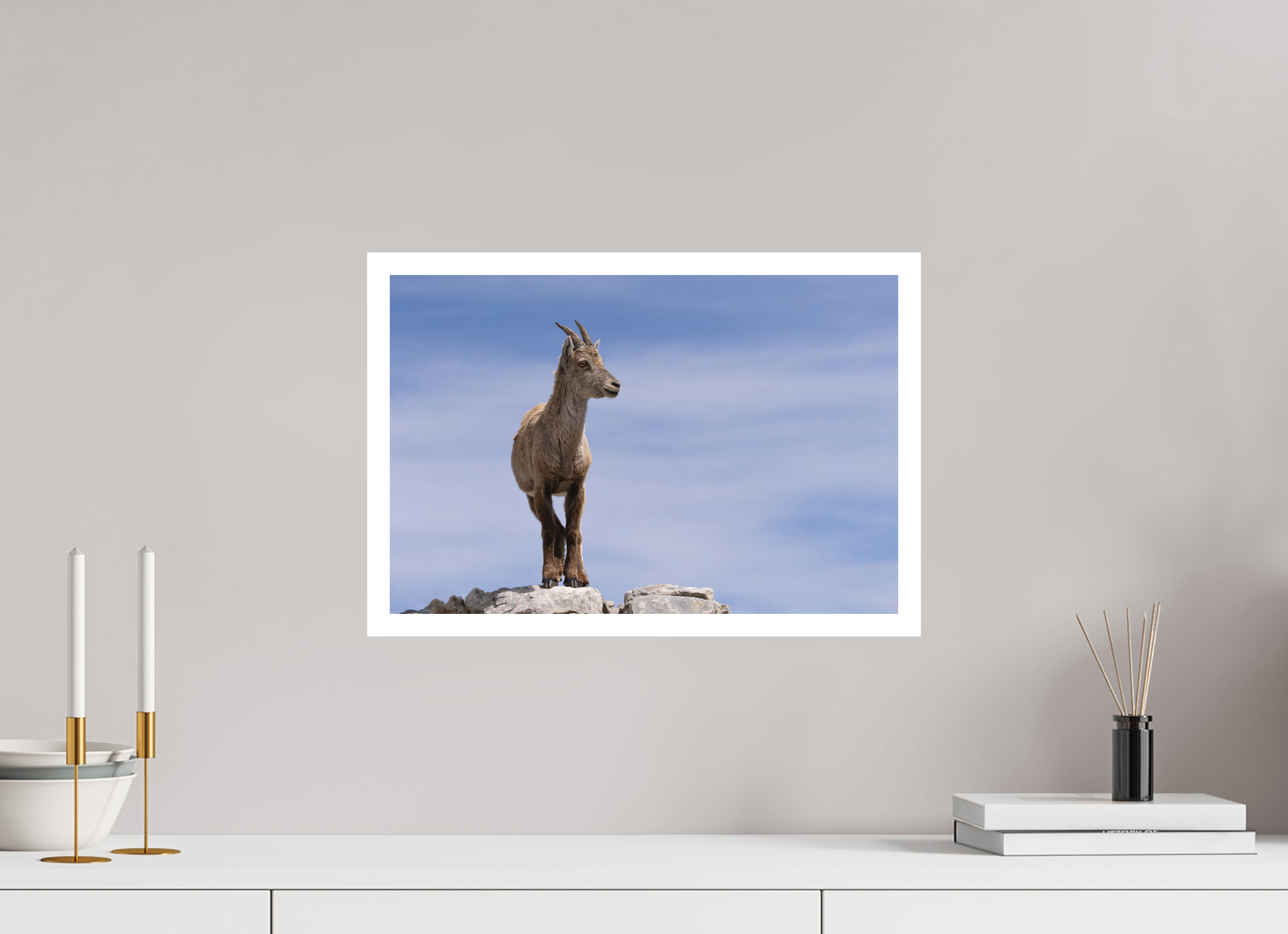 45 x 30 cm, Tirage anti reflets protégé - Bordures 2cm Petit explorateur