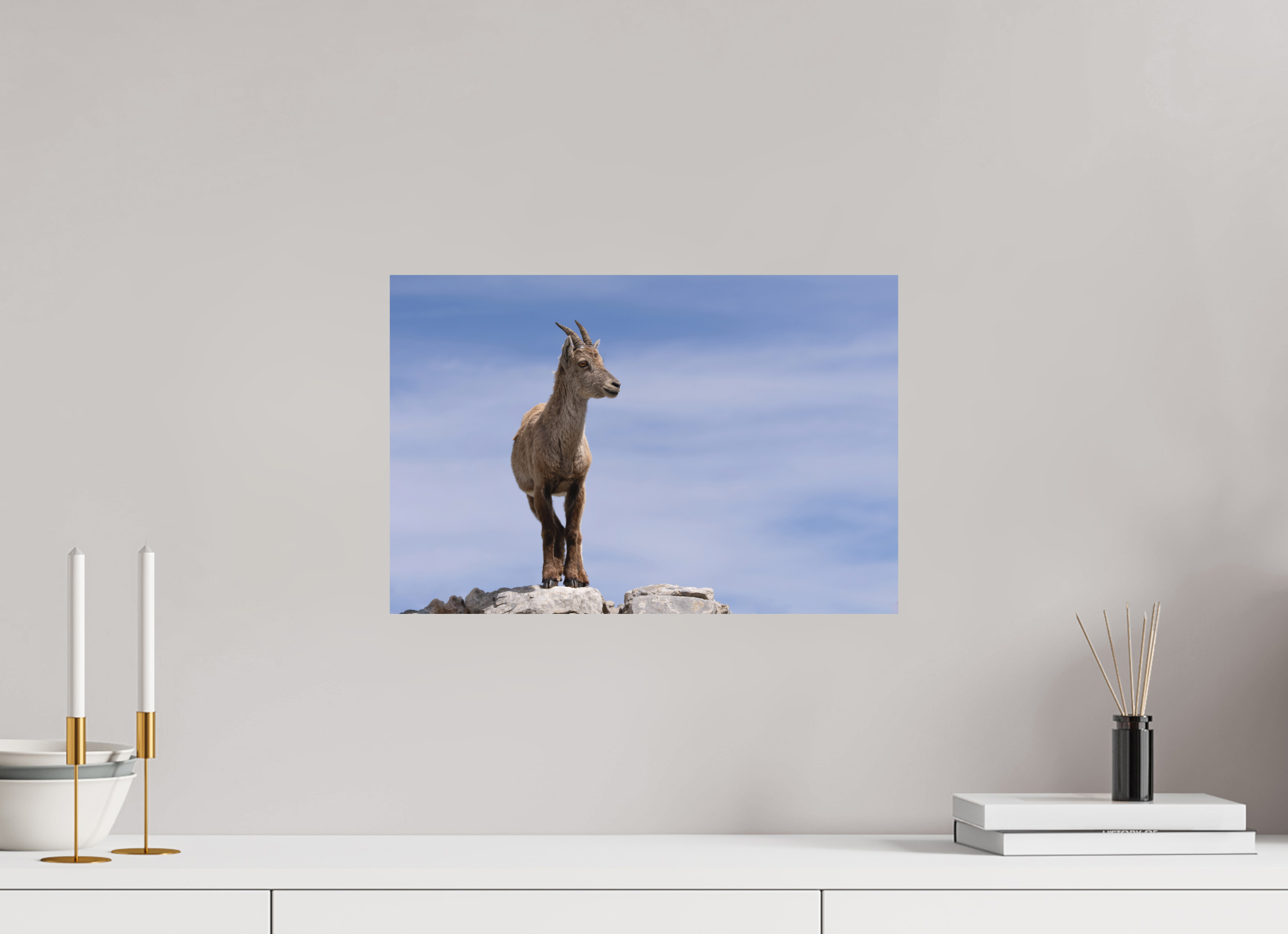 45 x 30 cm, Tirage anti reflets protégé - Sans bordures Petit explorateur