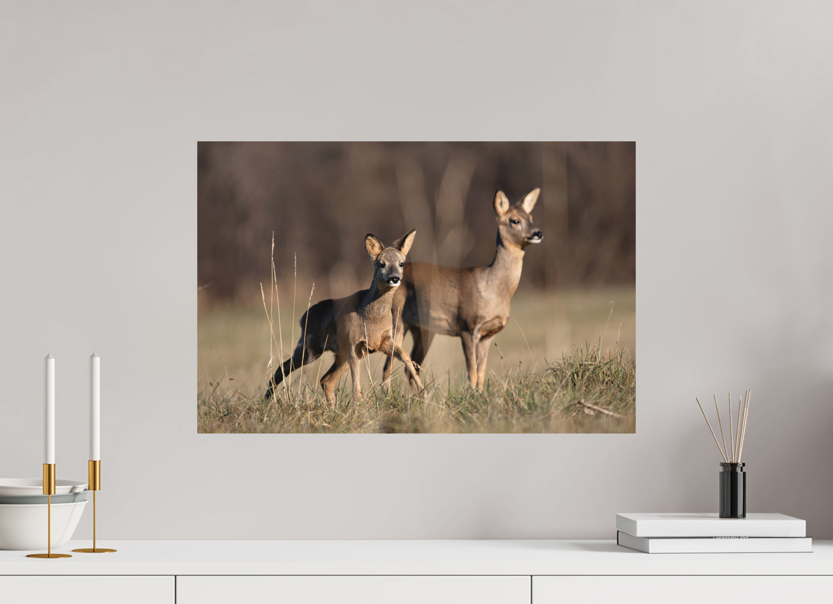 60 x 40 cm, Tirage anti reflets protégé - Sans bordures Bébé curieux