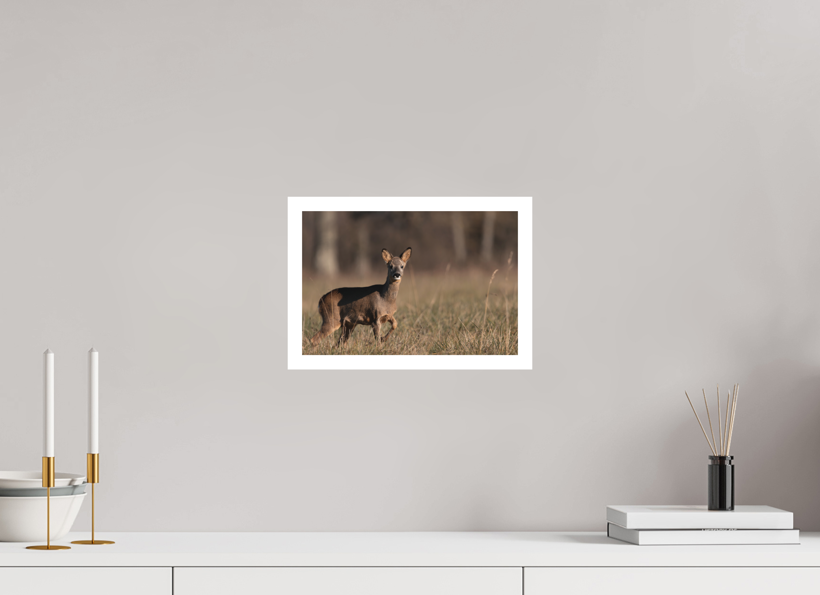 30 x 20 cm, Tirage anti reflets protégé - Bordures 2cm Explorateur en herbe