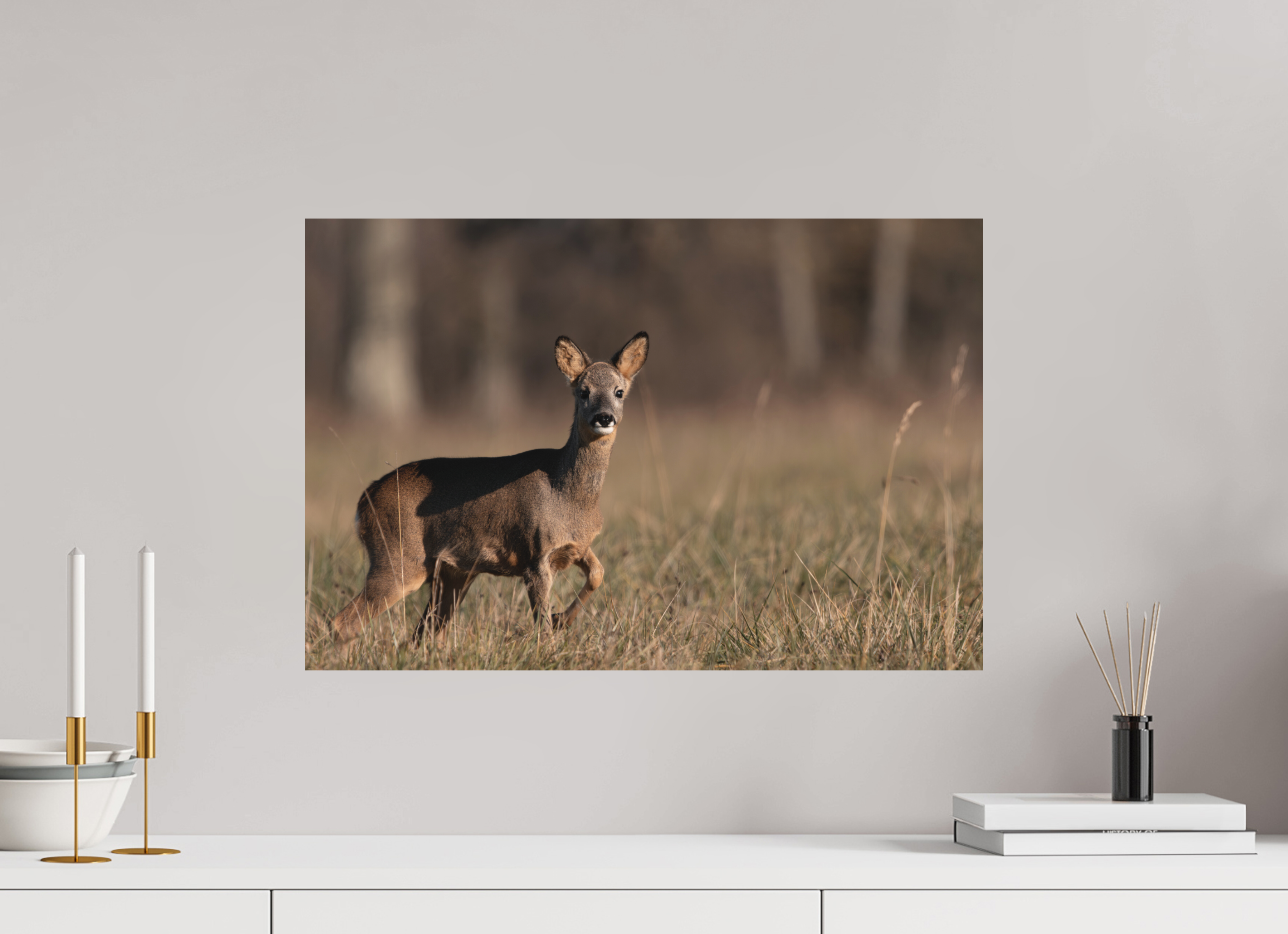 60 x 40 cm, Tirage anti reflets protégé - Sans bordures Explorateur en herbe