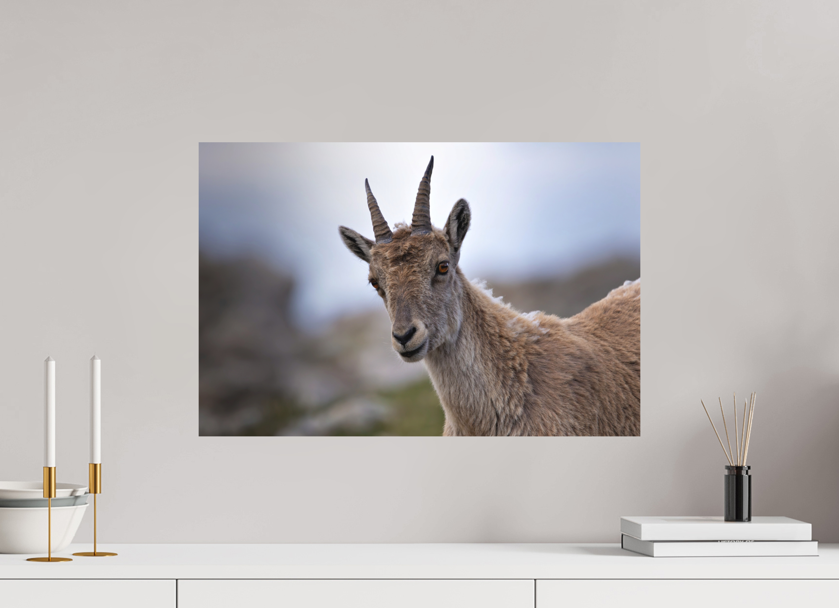 60 x 40 cm, Tirage anti reflets protégé - Sans bordures Regard des cimes