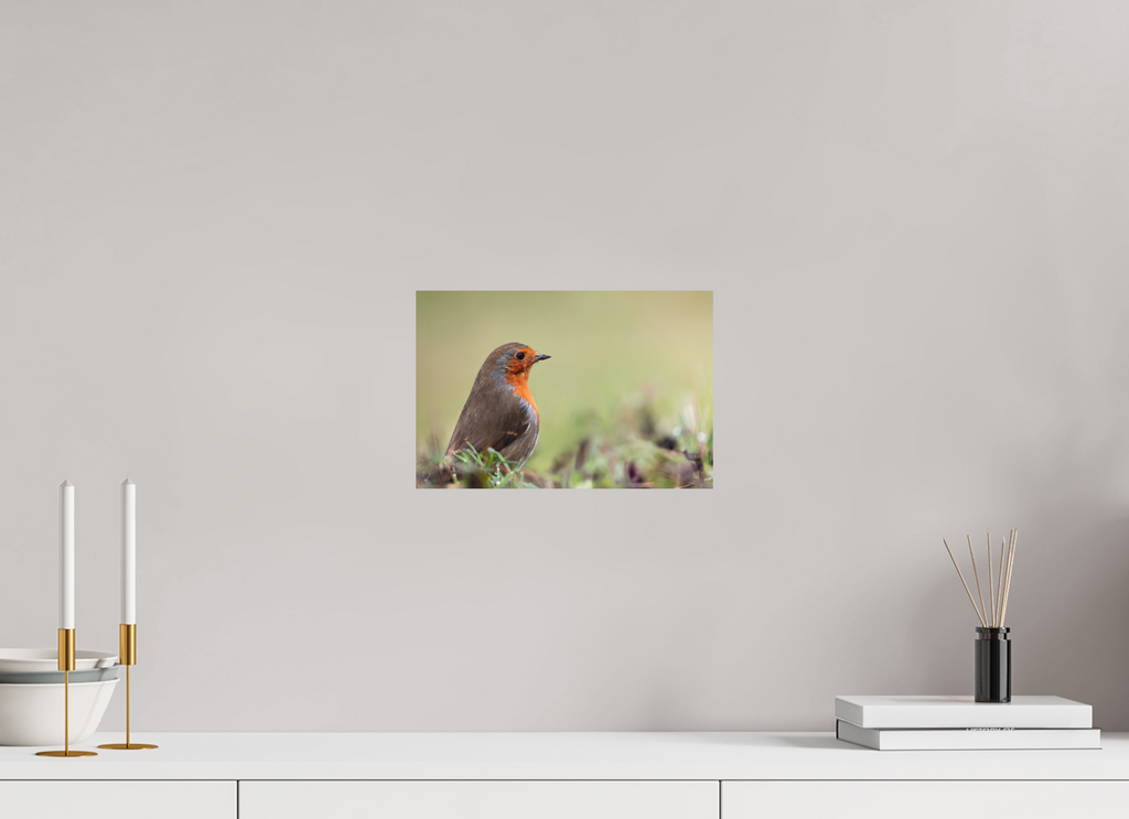 30 x 20 cm, Tirage anti reflets protégé - Sans bordures Le vigilant