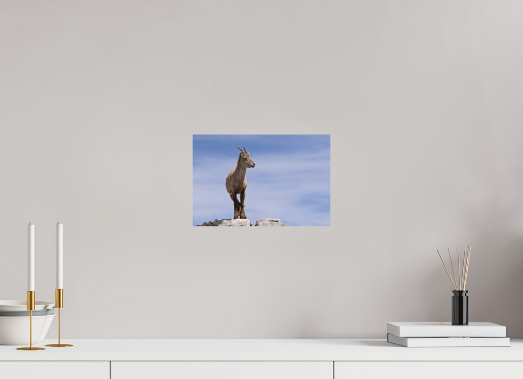 30 x 20 cm, Tirage anti reflets protégé - Sans bordures Petit explorateur