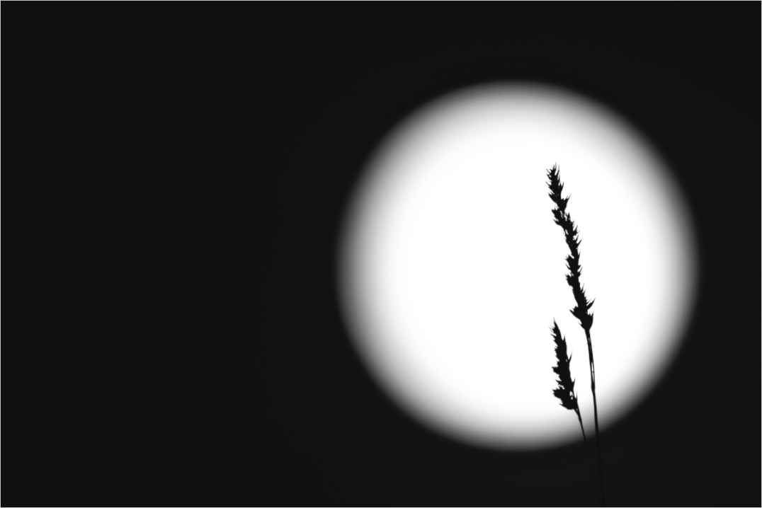 Main image Lune incertaine