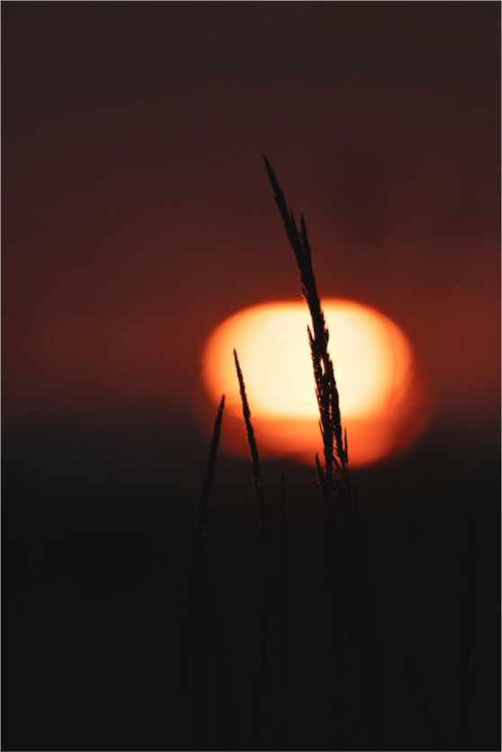 Main image Flamme du soir